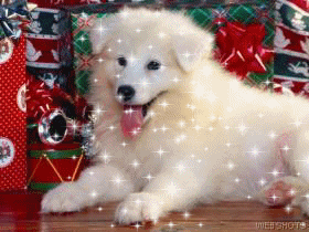 93977.gif