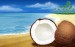 coconuts_1.jpg